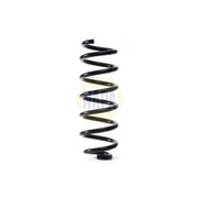 NAPA Rear Suspension Coil Spring NCS1846