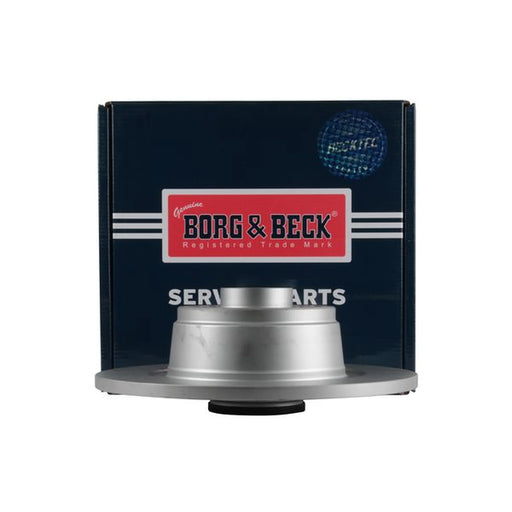 Borg & Beck 2 x Solid Rear Brake Discs BBD6262S