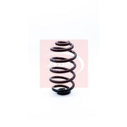 Apec Rear Suspension Coil Spring ACS1172