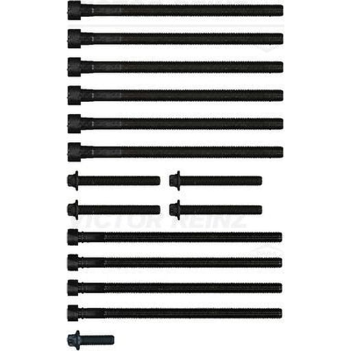 Victor Reinz Cylinder Head Bolt Set 14-10010-01