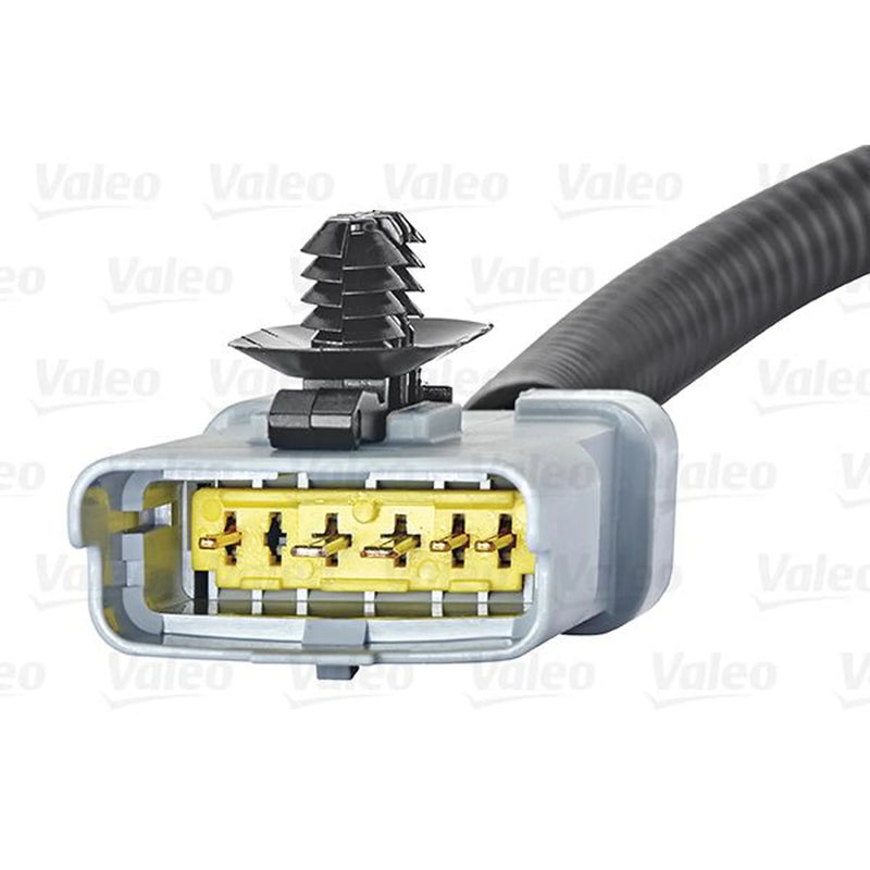 Valeo Exhaust Gas Recirculation Valve 700409