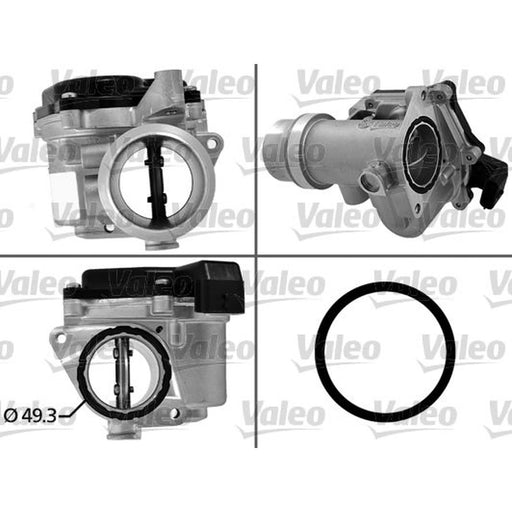 Valeo Electronic Throttle Body Assembly 700450