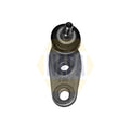 NAPA Ball Joint Front Right NST0225