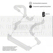 Borg & Beck Intercooler Turbo Charge Air Hose BTH1715