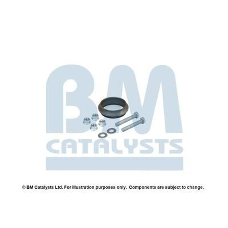 BM Catalysts Fitting Kit FK91636B FK91636B