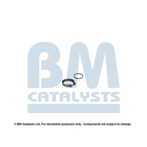 BM Catalysts Fitting Kit FK11666C FK11666C