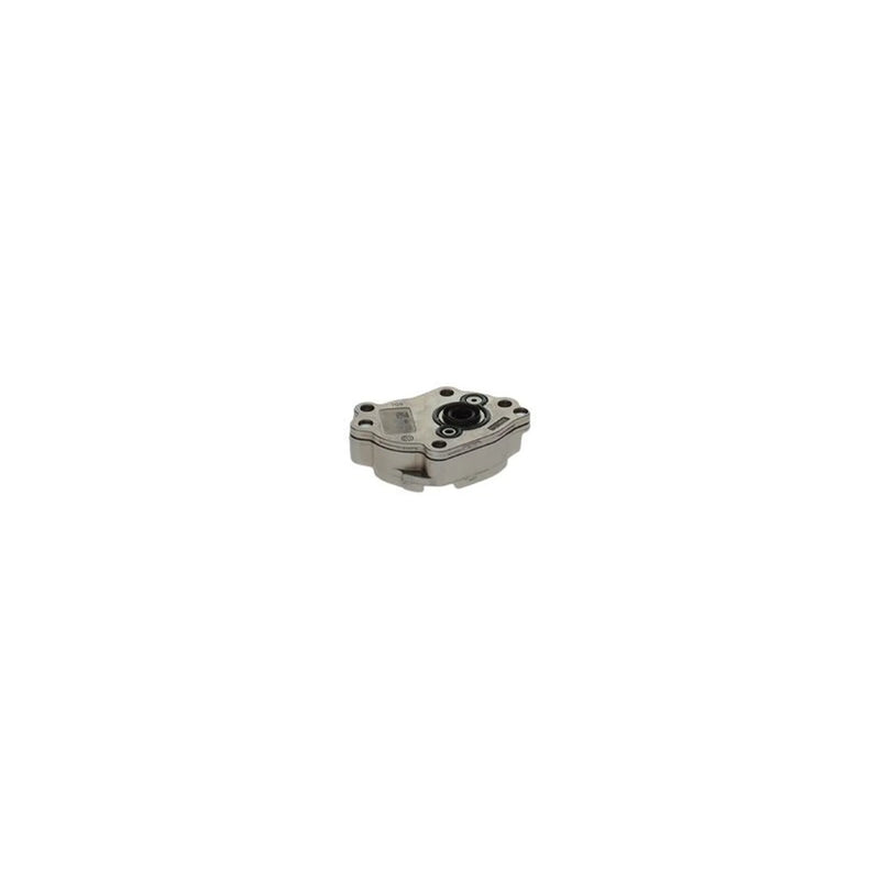Bosch Fuel Pump Assembly 0 440 020 065