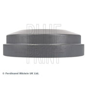 Blue Print Brake Drum Assembly Rear ADG04718