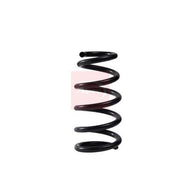 Apec Rear Suspension Coil Spring ACS2093