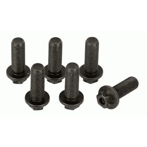 Sachs Dmf Screw Set (Special Order) 1874000045 1685832 1874000045