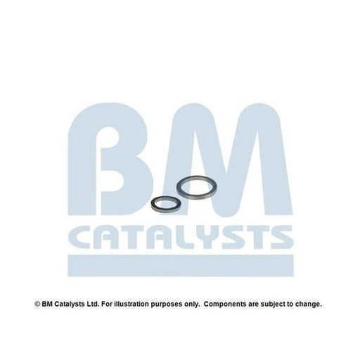 BM Catalysts Fitting Kit FK90724A FK90724A