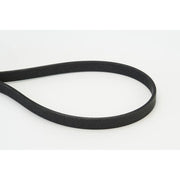 Continental CTAM Multi V-Ribbed Drive Belt 6DPK1817