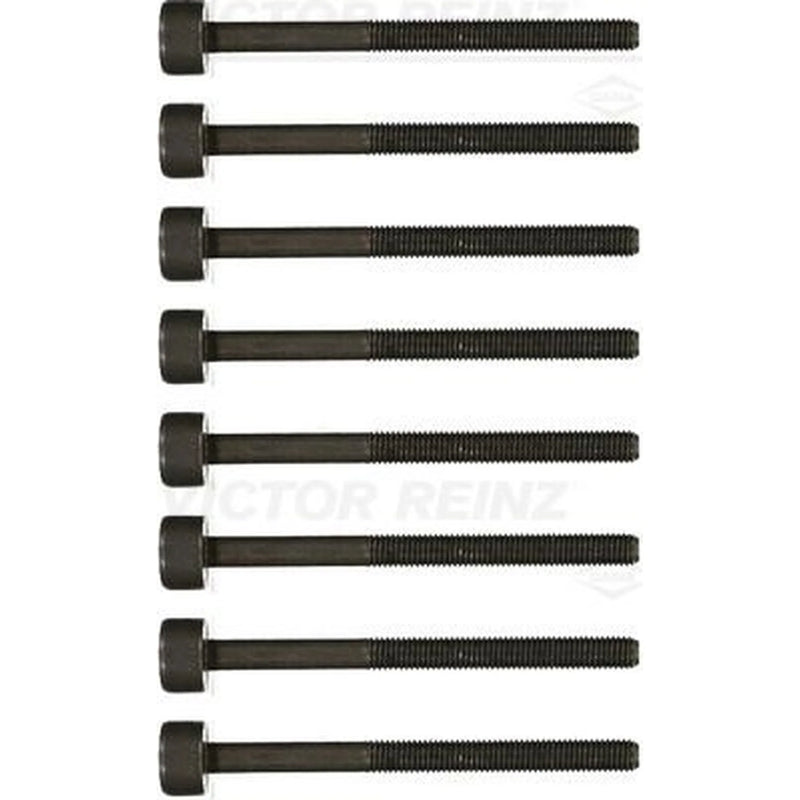 Victor Reinz Cylinder Head Bolt Set M10 14-19487-02