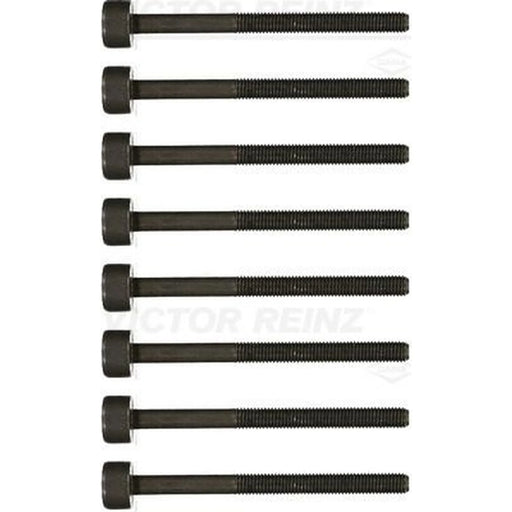 Victor Reinz Cylinder Head Bolt Set M10 14-19487-02