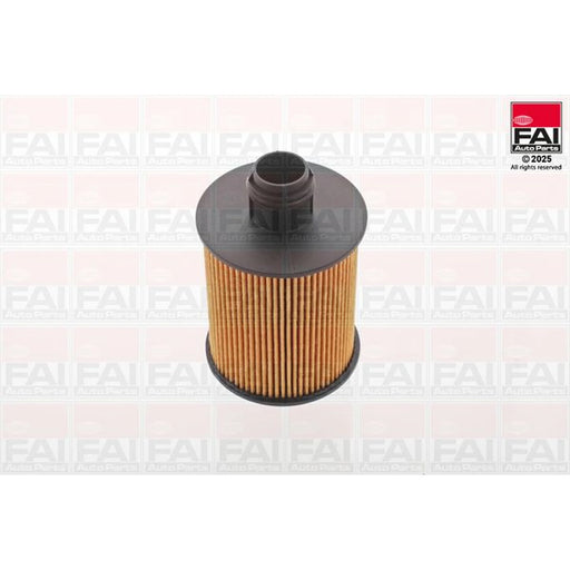FAI Engine Oil Filter OF110
