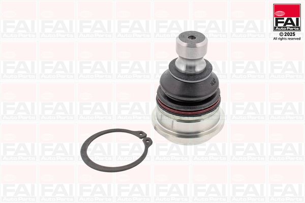 FAI Ball Joint