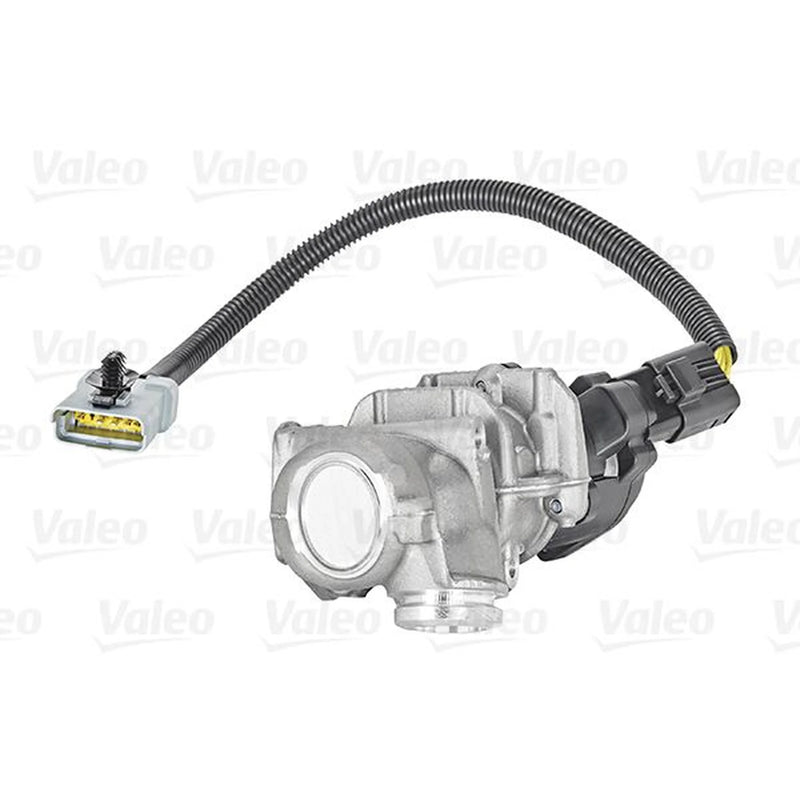 Valeo Exhaust Gas Recirculation Valve 700412