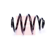 Apec Rear Suspension Coil Spring ACS2204