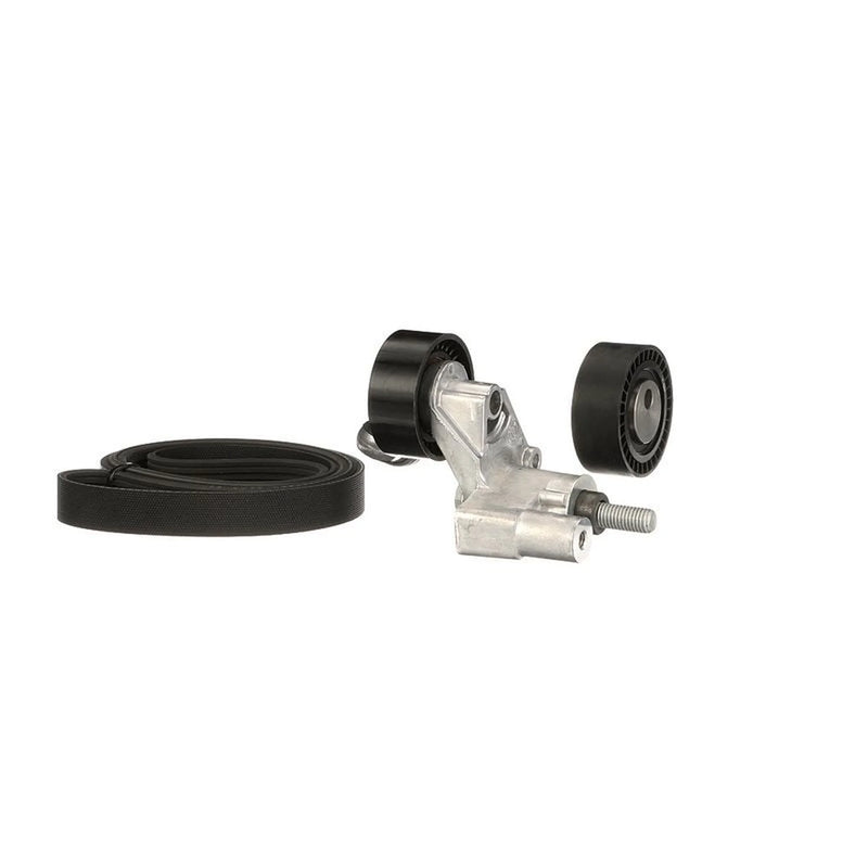 Gates V-Ribbed Belt Set K016PK1750