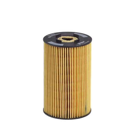 Hengst Engine Oil Filter E134H D31