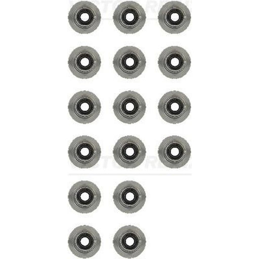 Victor Reinz Valve Stem Seal Set ID High 12-13246-01
