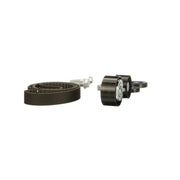 Gates Timing Belt Kit with Rollers K055550XS