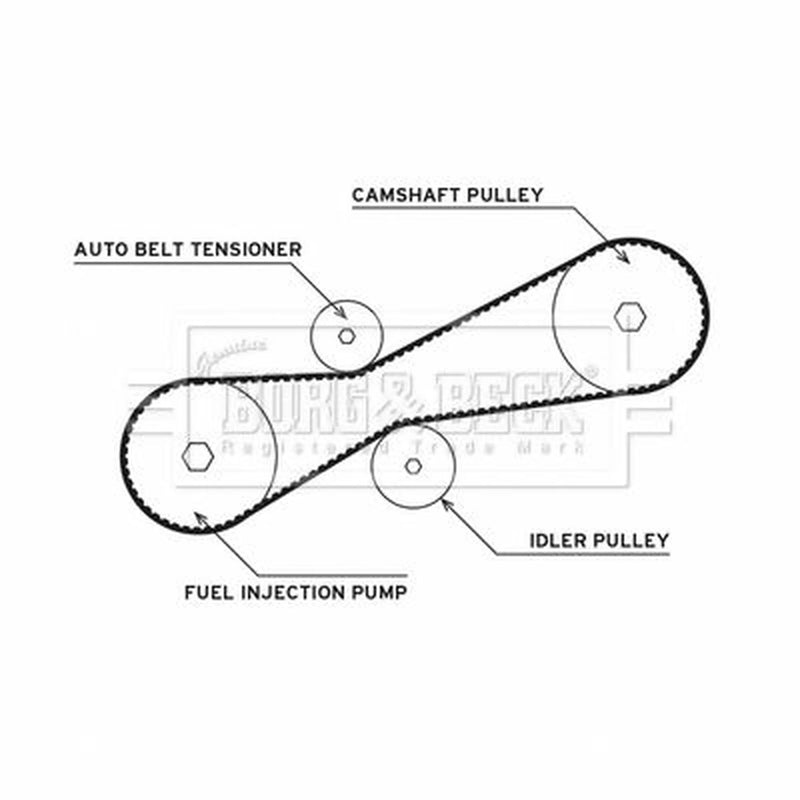Borg & Beck Timing Belt & Water Pump Kit BTW1025