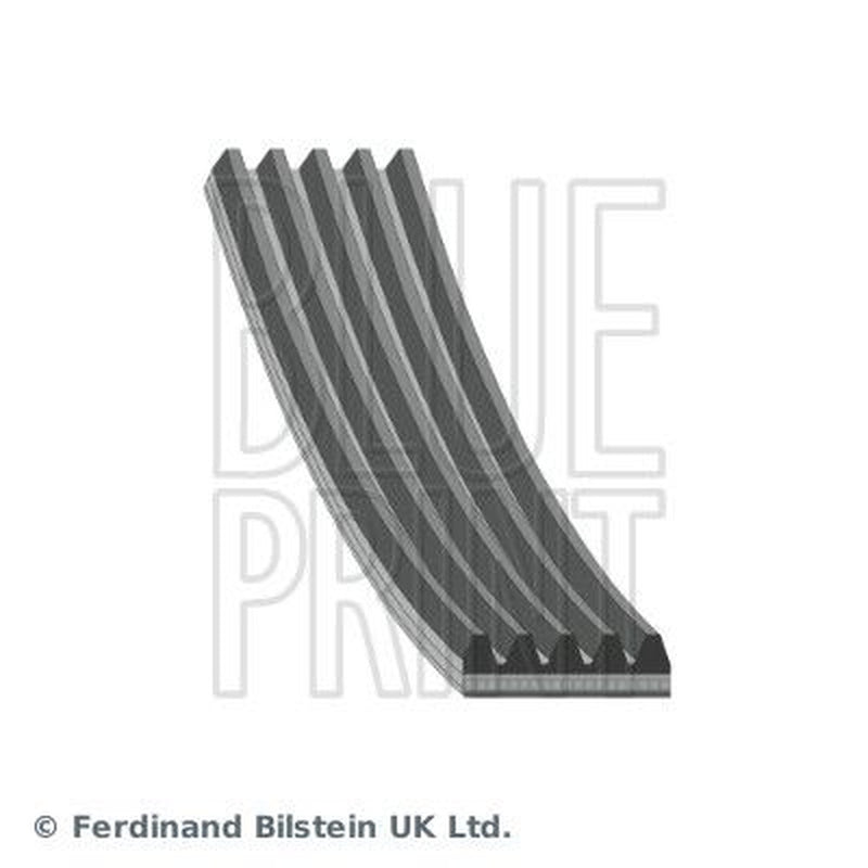Blue Print Multi V-Ribbed Drive Belt AD05R1857