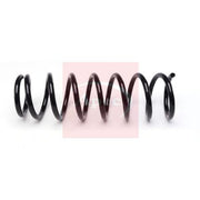 Apec Rear Suspension Coil Spring ACS2158