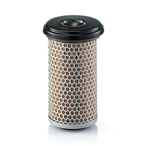 MANN-FILTER Engine Air Filter C 1176 OE 7354867 F01085385