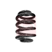 Apec Rear Suspension Coil Spring ACS1446