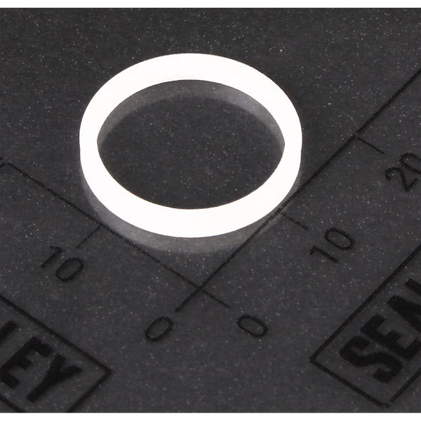 Sealey Back up-ring