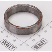 Sealey Piston plug