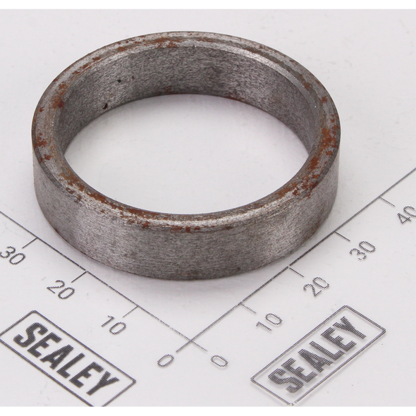 Sealey Piston plug