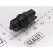 Sealey Safety valve screw