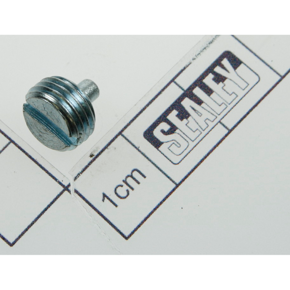 Sealey Screw