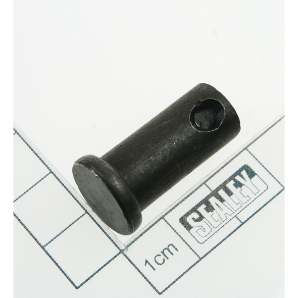 Sealey Pin