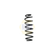 NAPA Rear Suspension Coil Spring NCS1569