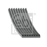 Febi Multi V-Ribbed Drive Belt 101065