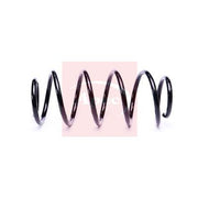 Apec Front Suspension Coil Spring ACS2209