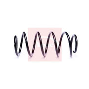 Apec Front Suspension Coil Spring ACS2209