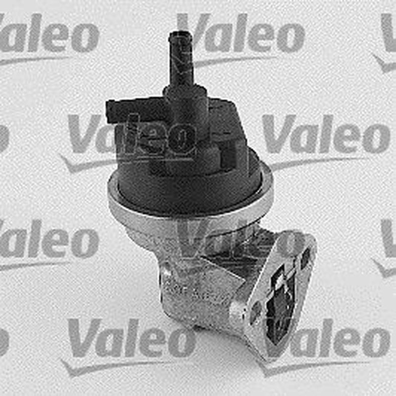 Valeo Fuel Pump Assembly 247146