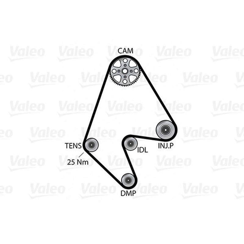 Valeo Timing Belt & Water Pump Kit 614642