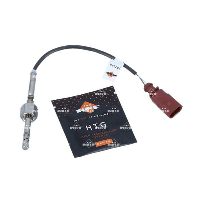 NRF Exhaust Gas Temperature Sensor before soot particu 707133