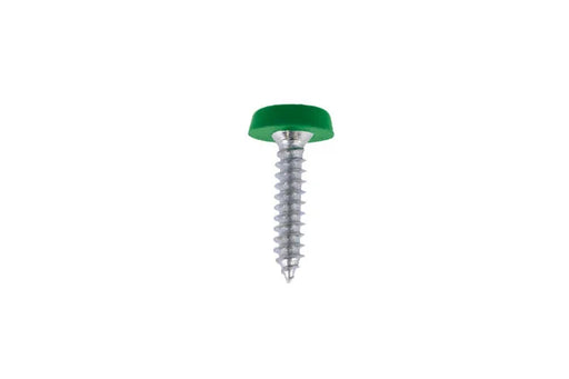 Connect Number Plate Screw Green No 10 x 1 100pc - CPL
