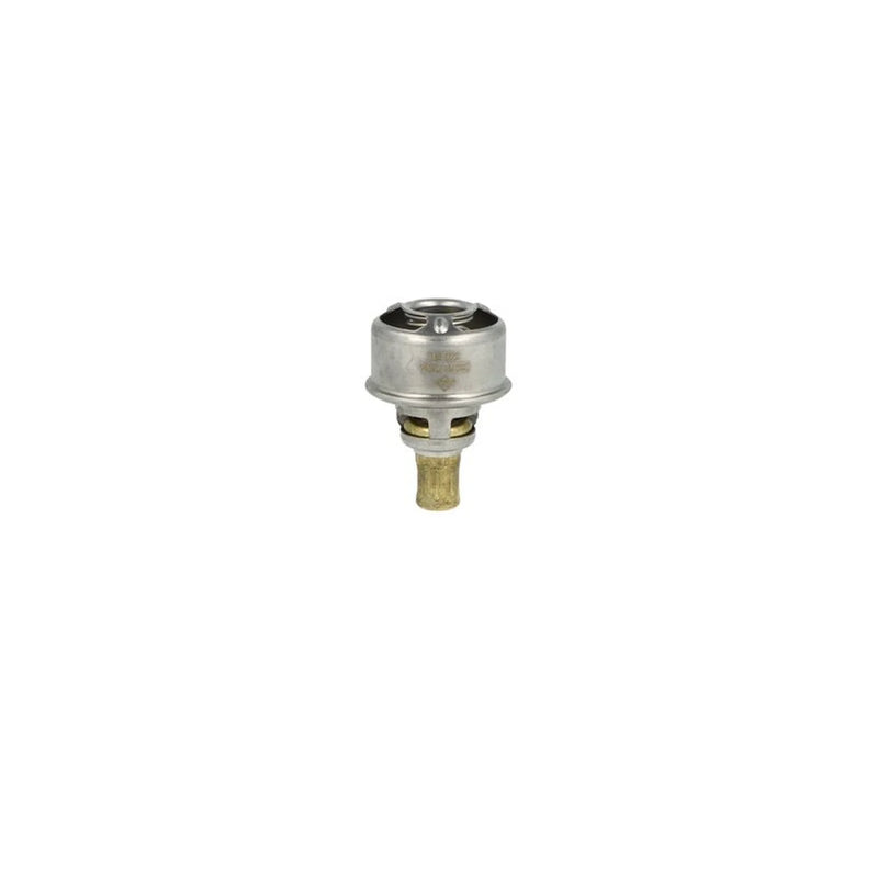 NRF Thermostat,Coolant 725254