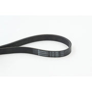 Continental CTAM Multi V-Ribbed Drive Belt 6PK995
