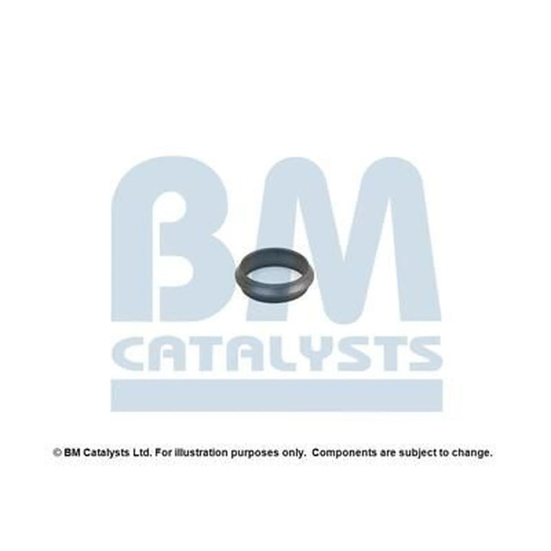 BM Catalysts Fitting Kit FK91645A FK91645A