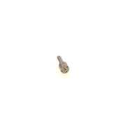 Bosch Diesel Injector Nozzle Tip 0 433 175 469