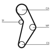 Continental CTAM Timing Belt Cambelt 108 Teeth CT927